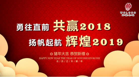臥龍全媒2018總結(jié)新聞0